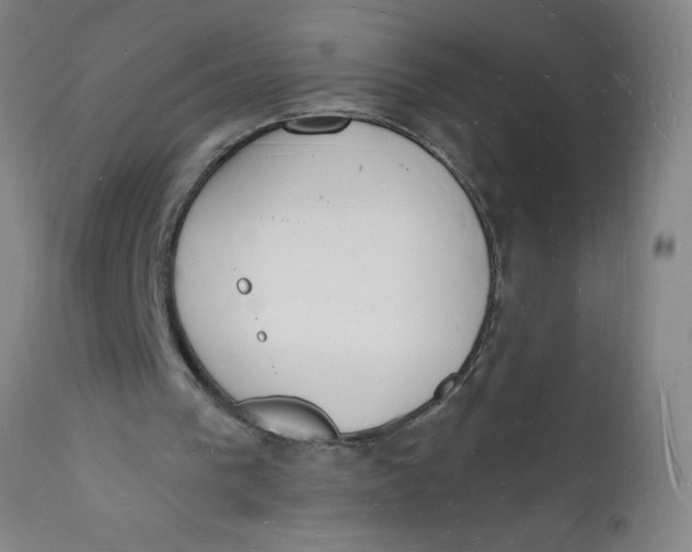 X0000112140193200908281325