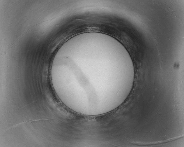 X0000112140194200908281325