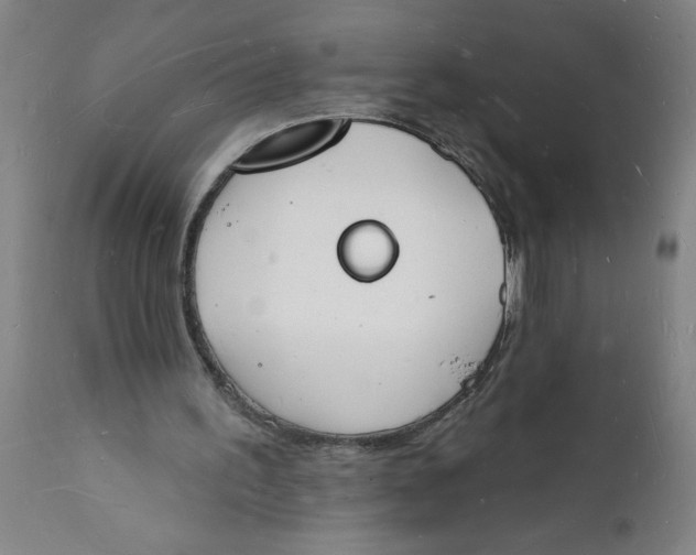 X0000112140195200908281325