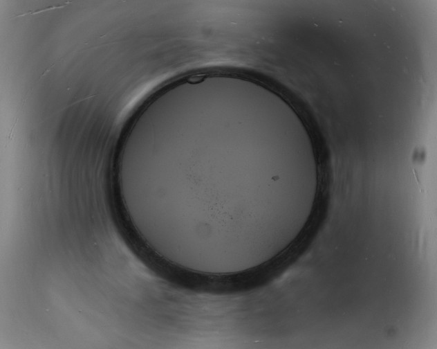 X0000112140196200908281325