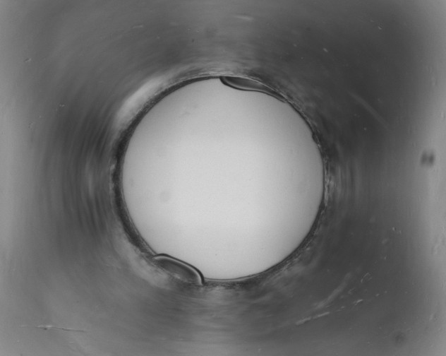 X0000112140197200908281325