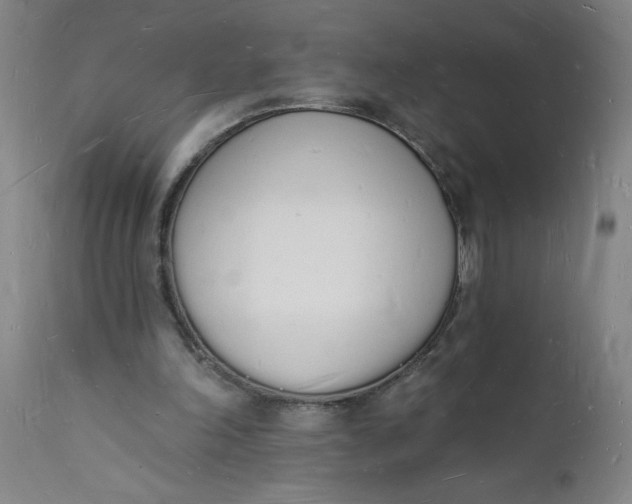 X0000112140198200908281325