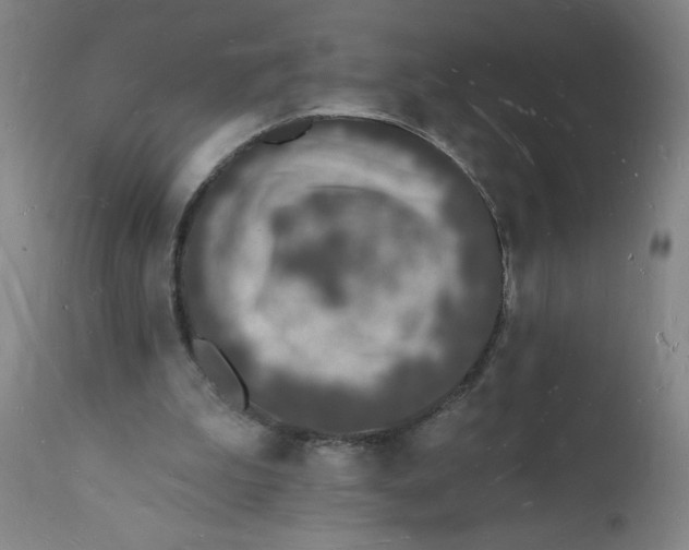 X0000112140199200908281325