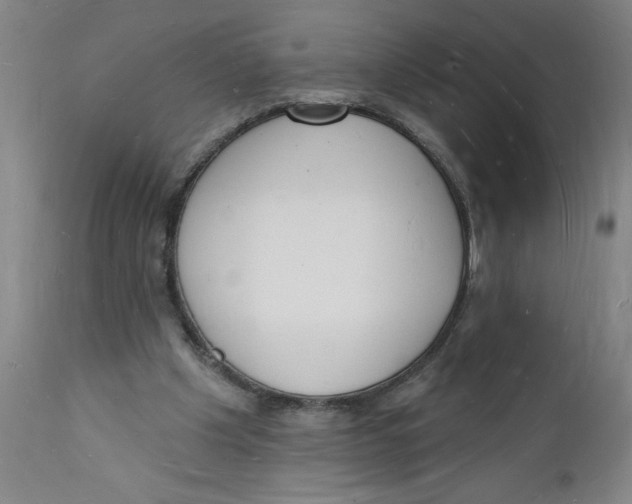 X0000112140201200908281325