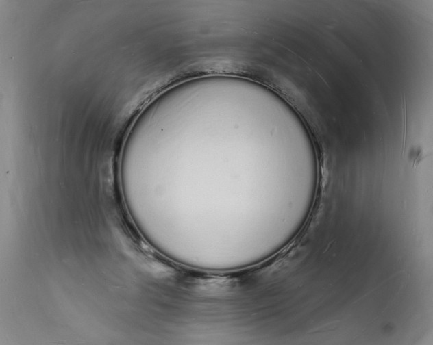 X0000112140202200908281325