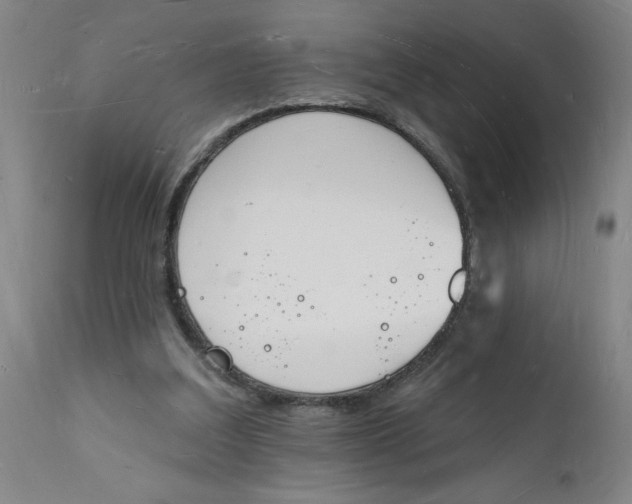 X0000112140203200908281325