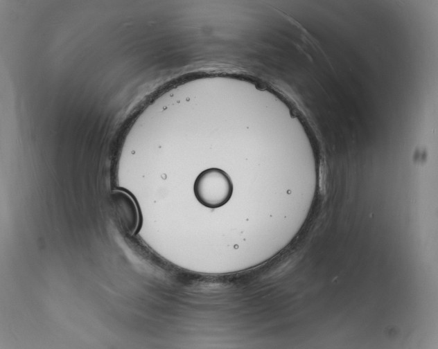 X0000112140205200908281325