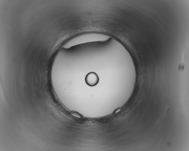 X0000112140207200908281325