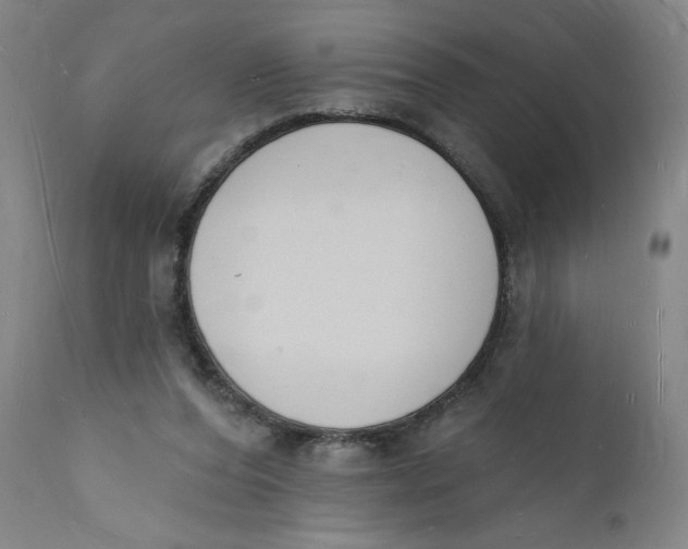 X0000112140208200908281325