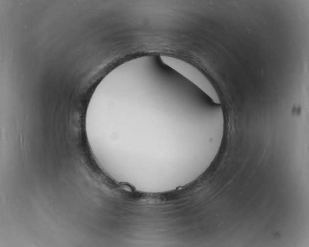 X0000112140211200908281325