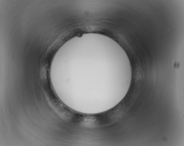 X0000112140214200908281325