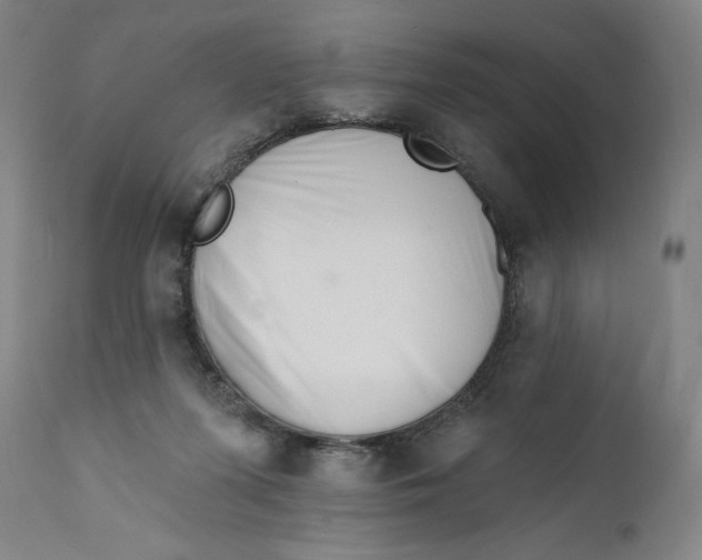 X0000112140215200908281325