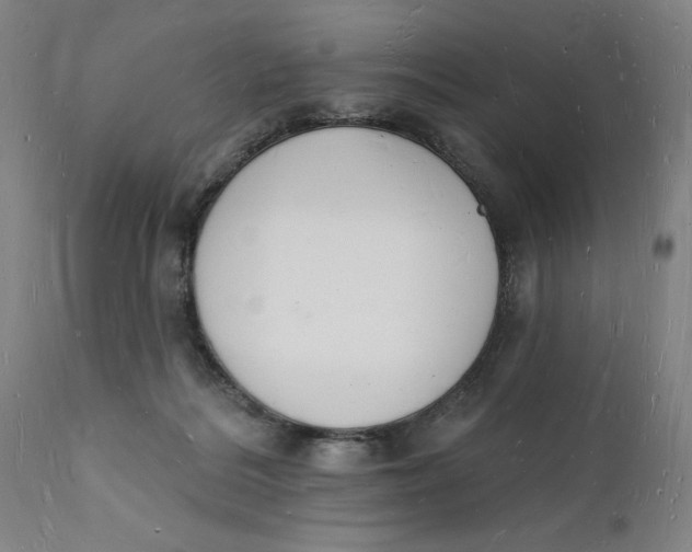 X0000112140220200908281324