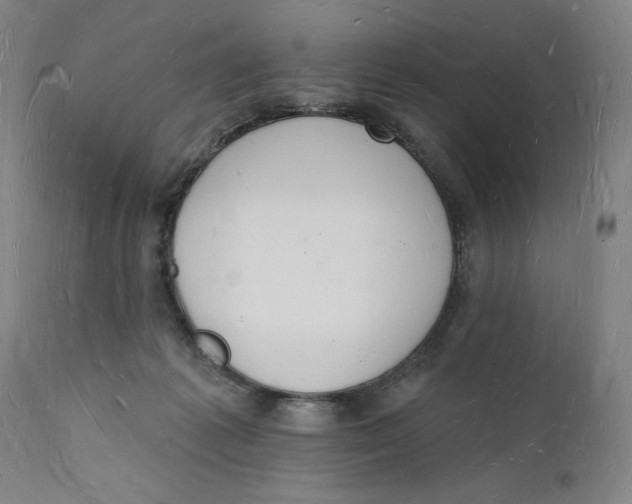 X0000112140221200908281324