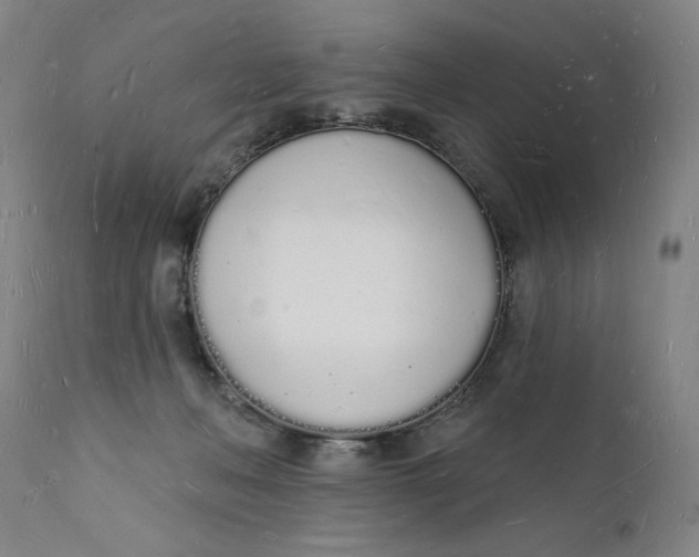 X0000112140222200908281324