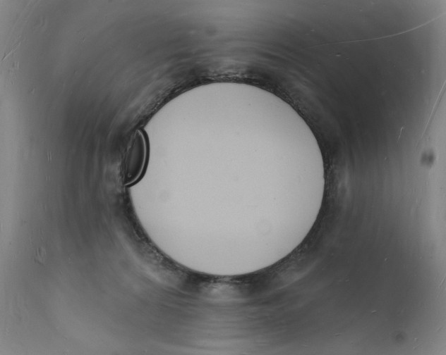 X0000112140224200908281324