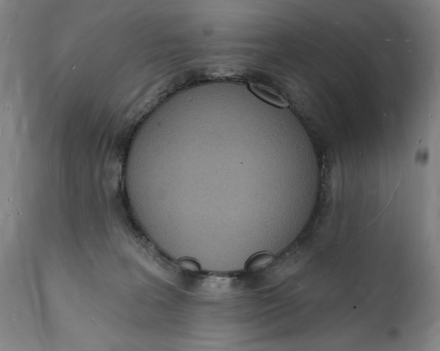 X0000112140227200908281324