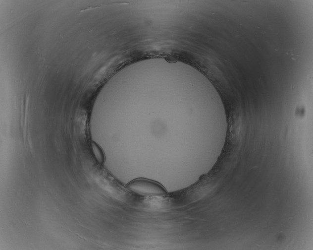 X0000112140231200908281324