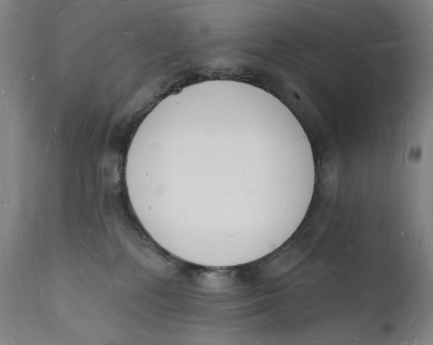 X0000112140232200908281324