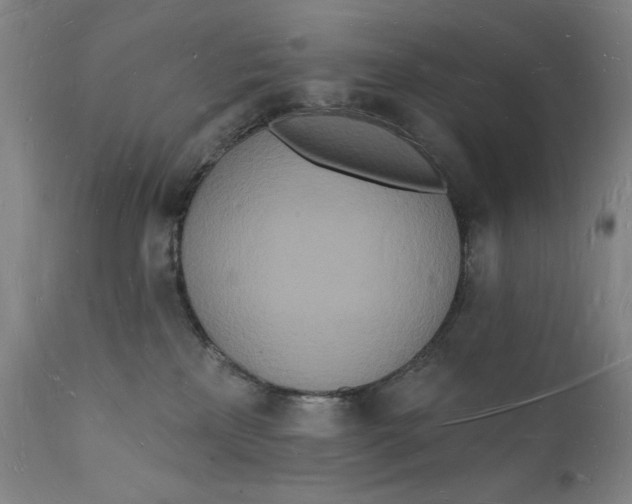 X0000112140233200908281324