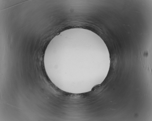 X0000112140235200908281324