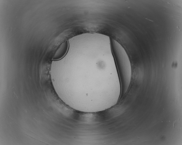 X0000112140237200908281324