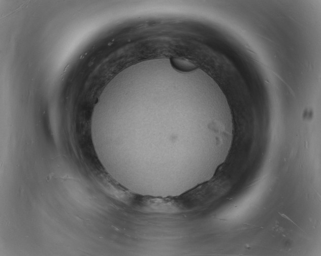 X0000112140239200908281324