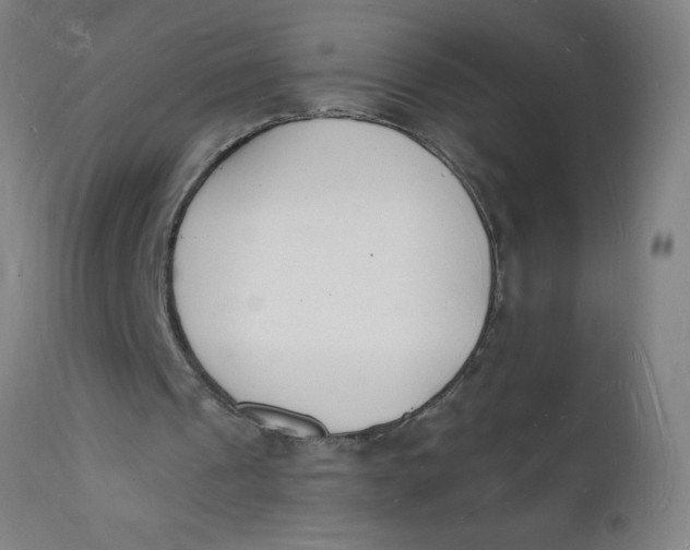 X0000112140241200908281324