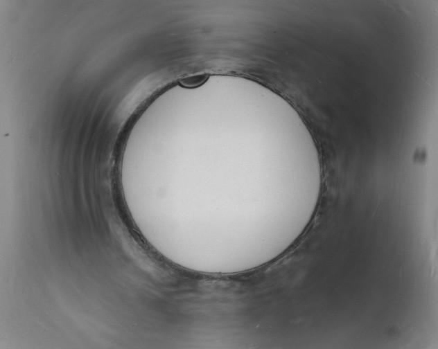 X0000112140242200908281324