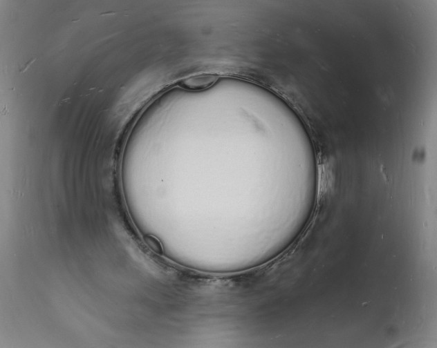 X0000112140243200908281324