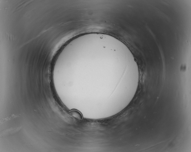 X0000112140244200908281324