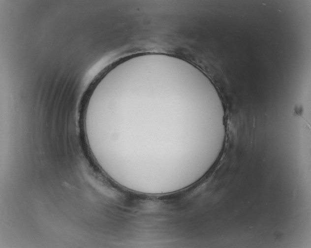 X0000112140246200908281324