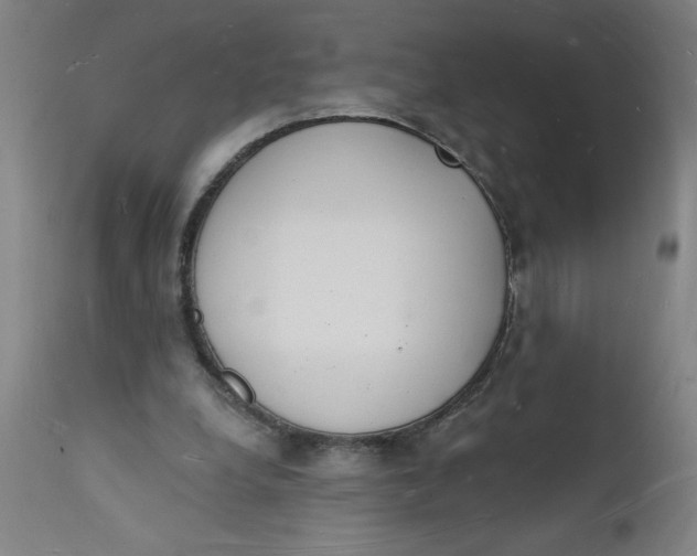 X0000112140248200908281324