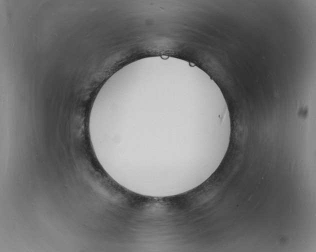 X0000112140259200908281324