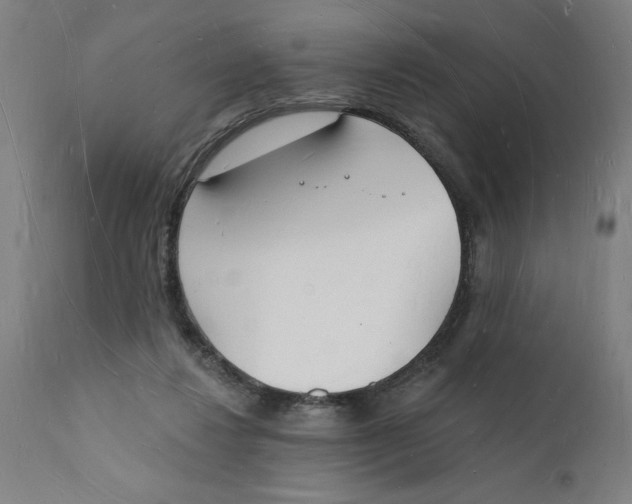 X0000112140260200908281324