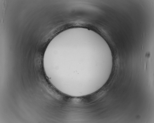 X0000112140265200908281324