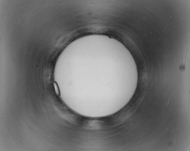 X0000112140268200908281324