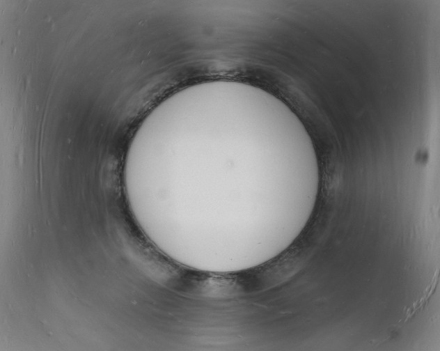 X0000112140270200908281324