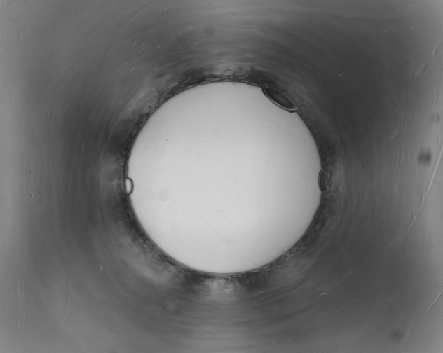 X0000112140272200908281324