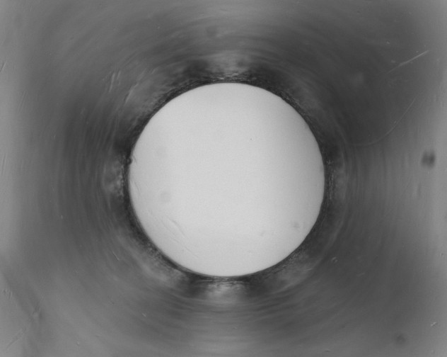 X0000112140274200908281324