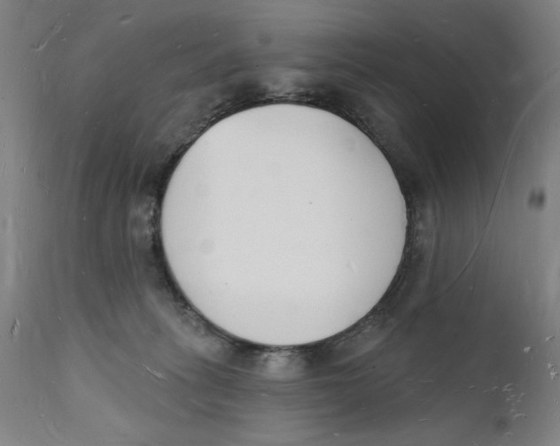 X0000112140275200908281324