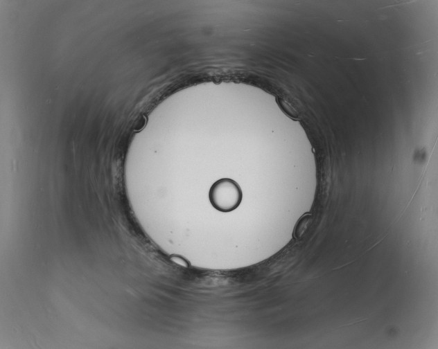 X0000112140276200908281324