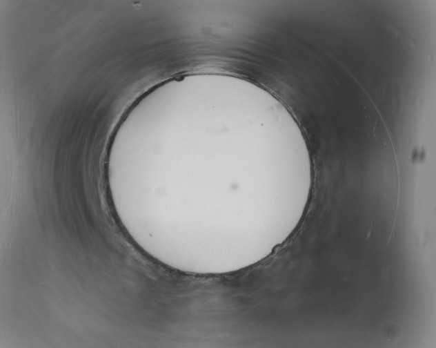 X0000112140289200908281324