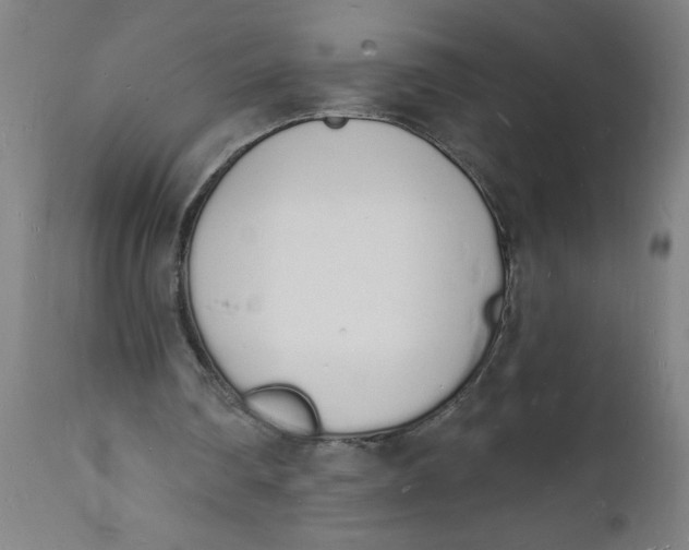 X0000112140290200908281324