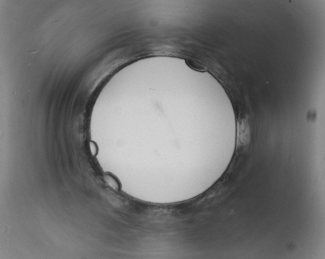 X0000112140291200908281324