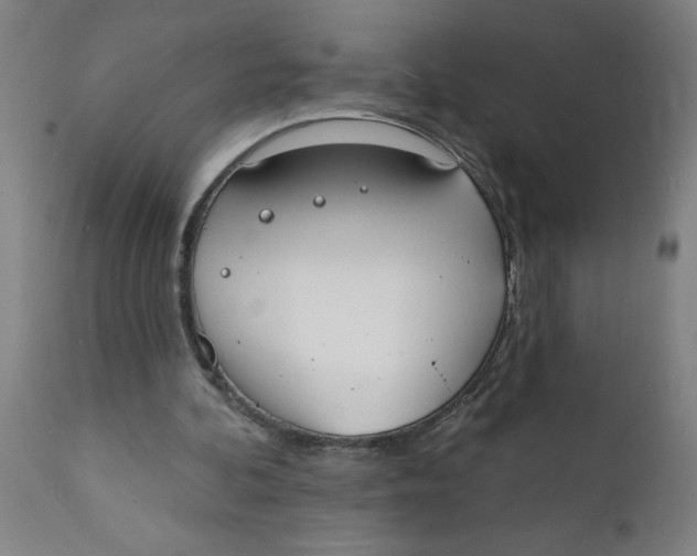 X0000112140292200908281324