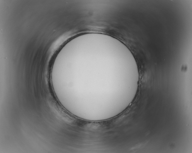 X0000112140294200908281323