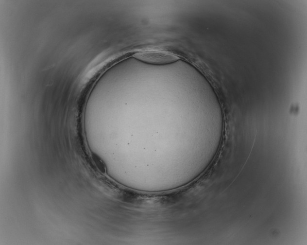 X0000112140295200908281323