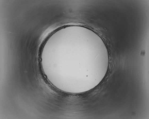 X0000112140296200908281323