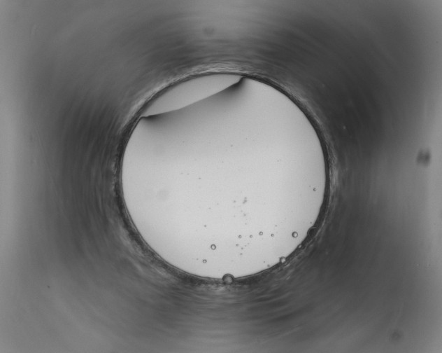 X0000112140297200908281323